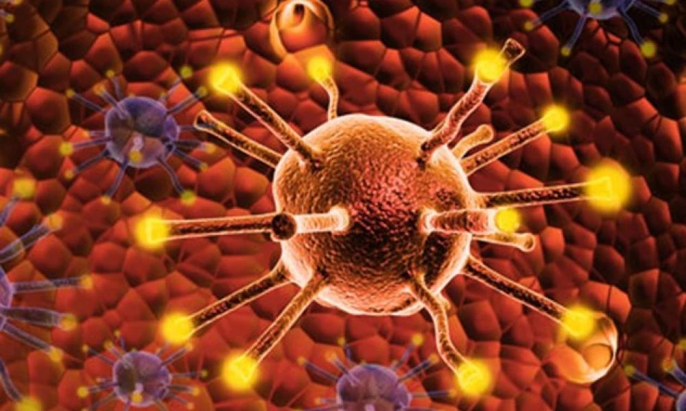 Μια Ανάλυση βακτηρίων σε 4.000 μεταστάσεις και 26 τύπους καρκίνου υπόσχεται αποτελεσματικότερη θεραπεία